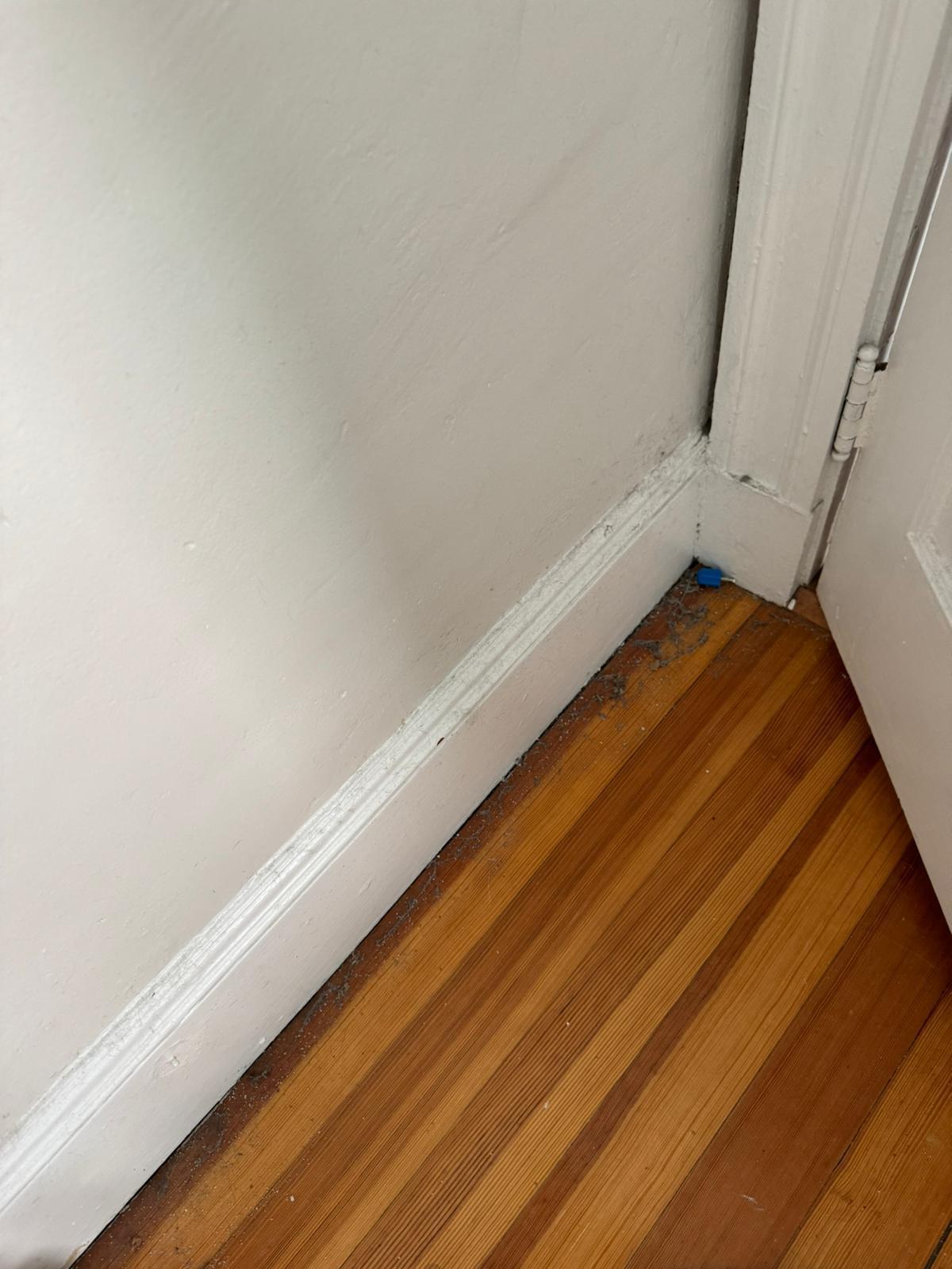 Post-construction cleaning for a commercial build-out