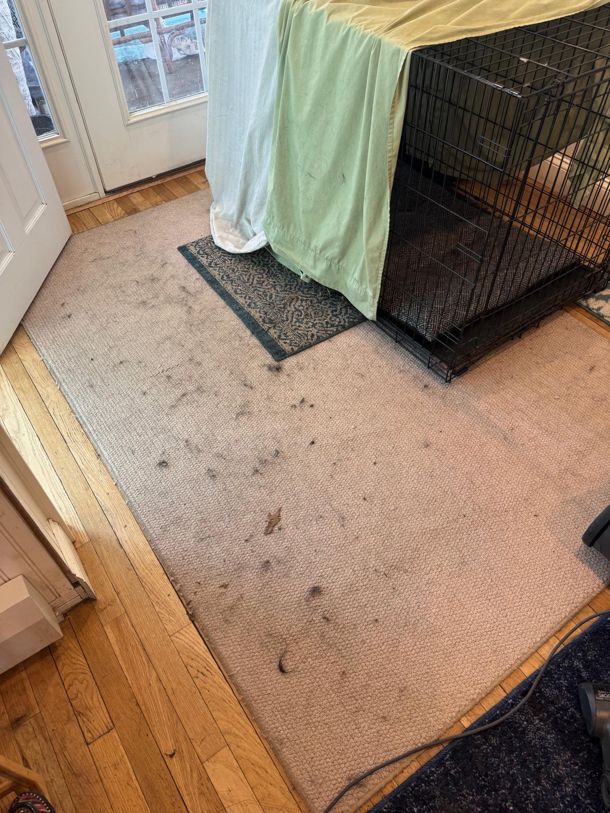 Post-construction cleaning for a commercial build-out